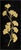 Contemporary Pair of Gold Leaf Ginkos (I & Ii) by Wendover Art Group For Sale - Image 3 of 6