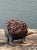 Vintage Textured Ceramic Hedgehog Sculpture For Sale In West Palm - Image 6 of 14