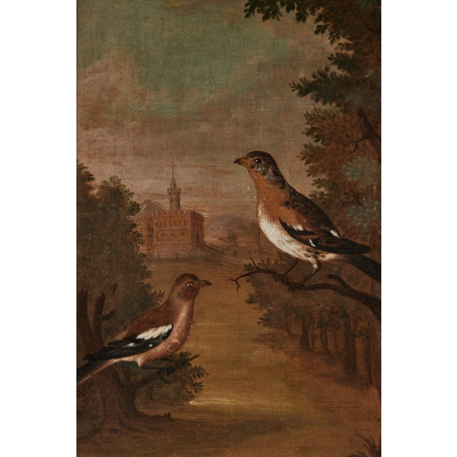 Antique Avian Paintings, Unknown - A Pair For Sale - Image 9 of 12