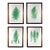 Henry Bradbury Nature-Printed Fern Botanical Prints, Set of Four, Framed For Sale