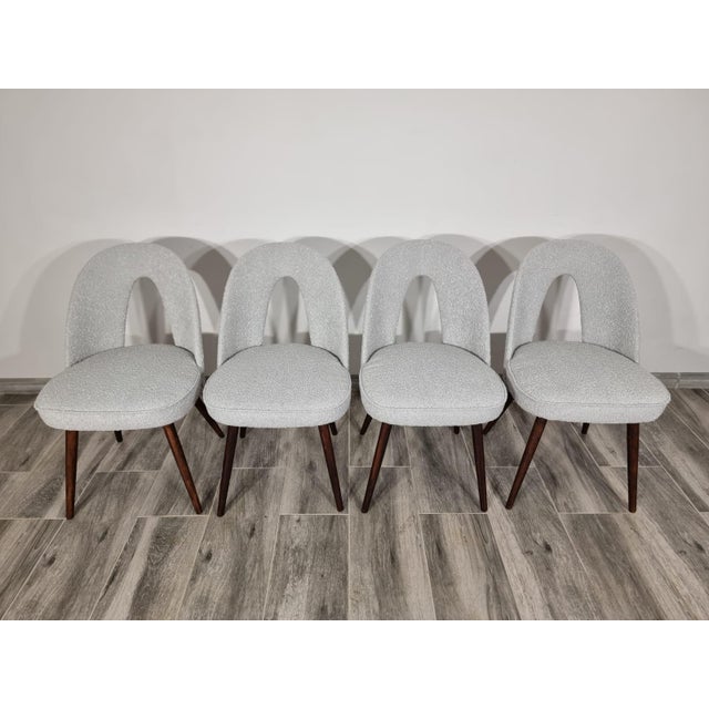 Dining Chairs by Antonin Suman, 1960s, Set of 4 For Sale - Image 10 of 18