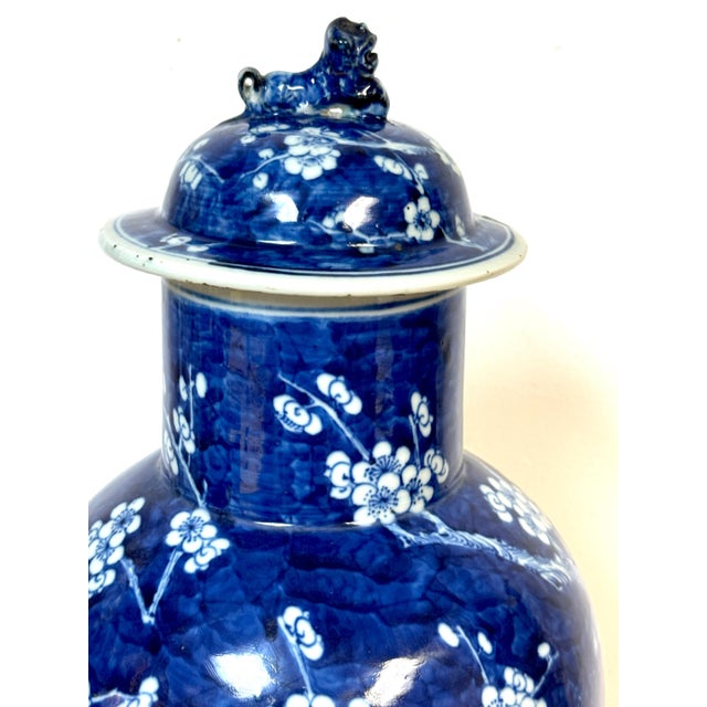 Ceramic Chinese Blue & White 'Prunus & Birds' Jar/Vase & Cover Earlier Qing Dynasty For Sale - Image 7 of 12