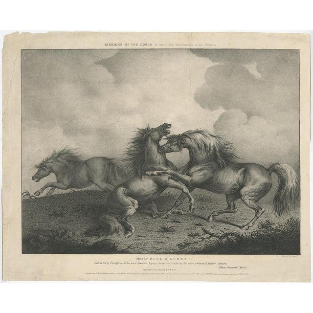 Horse Showing the Passion Rage and Agony, 1827, Paper For Sale - Image 3 of 5