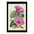Antique Walter Hood Fitch Hand-Colored Lithograph, Curtis’s Botanical Magazine, 19th Century One Print For Sale