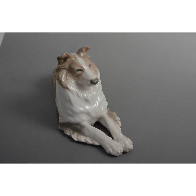 Royal Copenhagen Porcelain Collie Dog No.1701 by Peter Herold for Royal Copenhagen, Early 1900s For Sale - Image 4 of 10