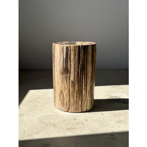 Multicolored Petrified Wood Side Table For Sale - Image 5 of 18