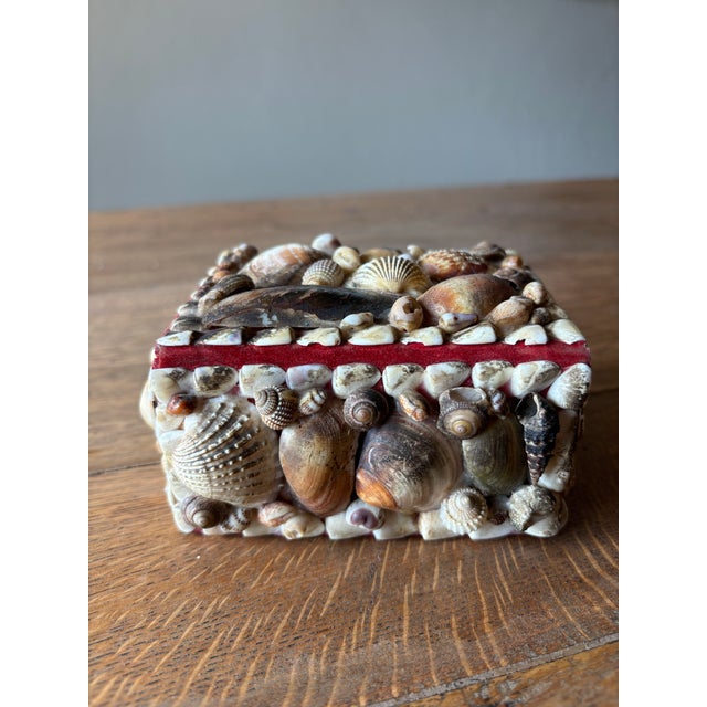 Vintage English Shell Box For Sale - Image 4 of 8