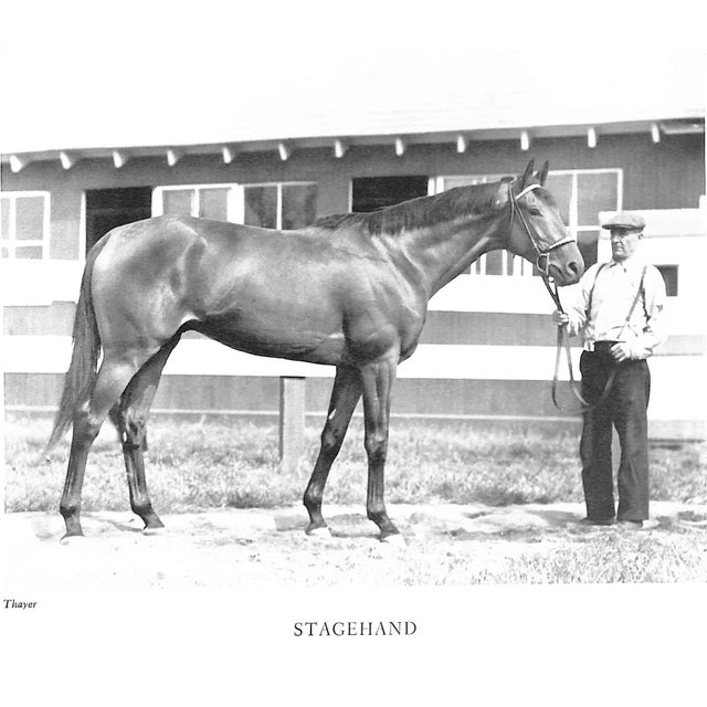 1960s "Racing in America 1937-1959" 1960 Kelley, Robert F. For Sale - Image 5 of 13