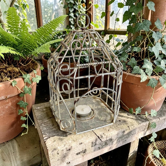 Transform your space with the Rustic Chippy Painted Candle Holder, a stunning shabby chic metal lantern that adds a touch...