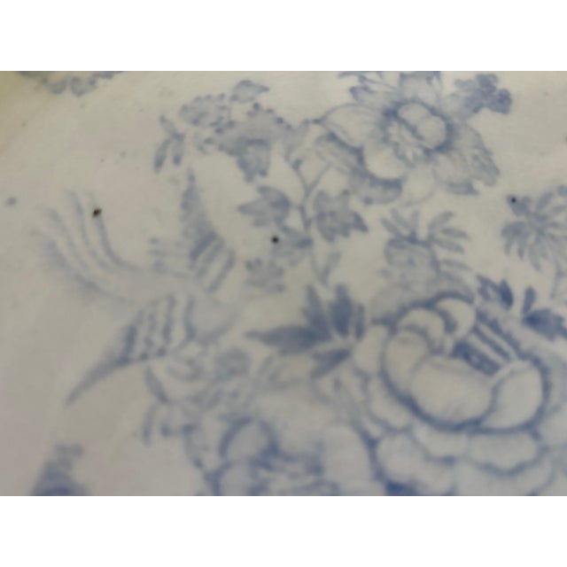 Mid 19th Century Asiatic Pheasant Dinner Plate For Sale - Image 10 of 12