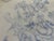 Mid 19th Century Asiatic Pheasant Dinner Plate For Sale - Image 10 of 12
