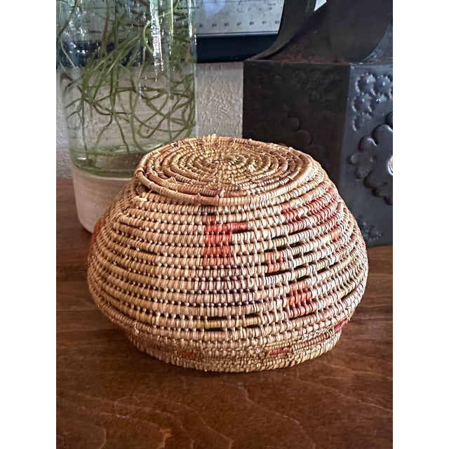Brown Hand-Woven Native American Horsehair Lidded Basket For Sale - Image 8 of 10