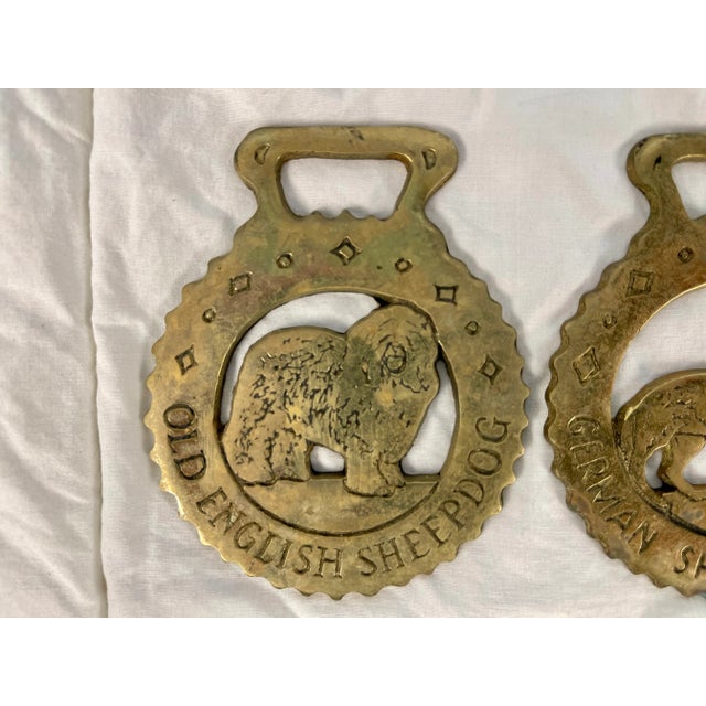 Metal Mid 20th Century Horse Brass Christmas Ornaments - Set of 12 For Sale - Image 7 of 13