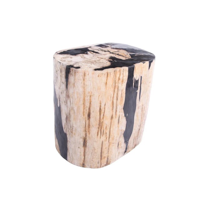 Large Oval Petrified Wood Accent Table or Side Table 2 For Sale - Image 9 of 10