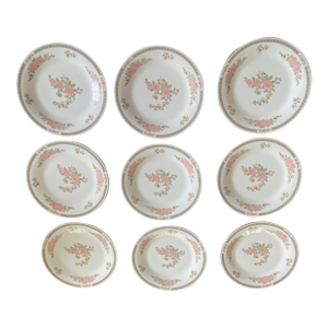 Vintage Set of Floral Plates - Set of 9