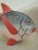 1980s Wooden Fish Hand Painted Whimsical Island Art For Sale - Image 5 of 12