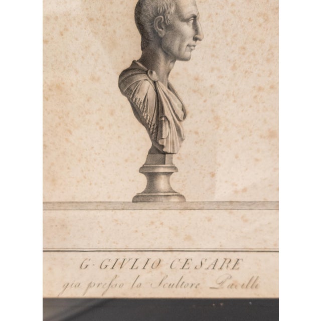 18th Century Italian Neo-Classical Engraving Print of Julius Caesar Bust by Giovanni Folo For Sale - Image 10 of 18