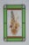 Large Vintage Stained Glass Pressed Flower & Butterfly Hanging Suncatcher Taxidermy Art For Sale - Image 4 of 12