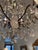Vintage Rock and Cut Crystal Chandelier For Sale In New York - Image 6 of 9