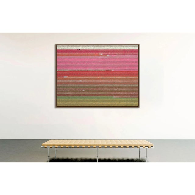 Edition Aerial Views Bernhard Lang Image: AV_Tulip_Fileds_035 Size A: 70,8 x 53,1 inches / 180 x 135 cm Captured in 2016...