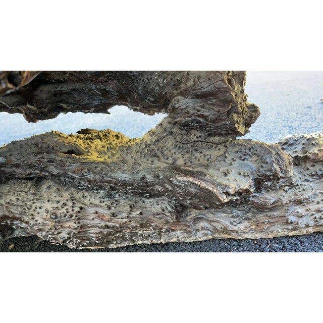 1970s Redwood Burl Coffee Table with Root Base For Sale - Image 12 of 13