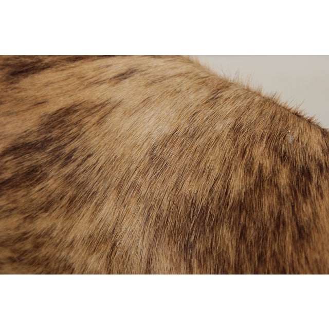 Theodore Alexander Antler Chair W. Animal Hide For Sale - Image 10 of 15