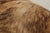 Theodore Alexander Antler Chair W. Animal Hide For Sale - Image 10 of 15