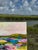 Contemporary Fine Art Abstract Coastal Painting by Pamela Wingard For Sale - Image 4 of 7