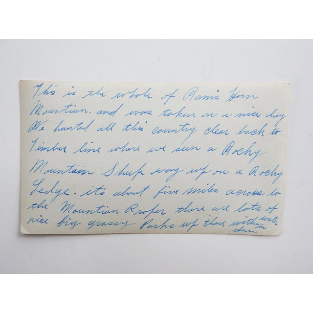 Early 20th century snapshot photograph of Rams Horn Mountain, Colorado. Note on verso about seeing mountian sheep. Unframed.