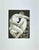 Lovers I is an original etching, realized by Giacomo Manzù in 1970. Hand Signed. numbered, Edition of 26/125 prints....