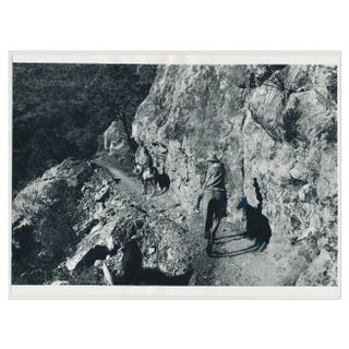 Cowboys on Horses, USA, 1960s, Black & White Photograph For Sale