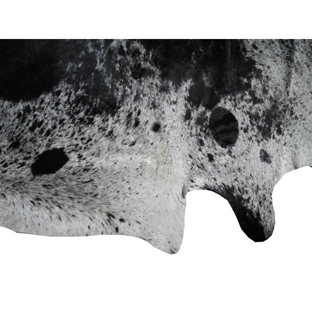 Modern Salt and Pepper Leather Cowhide With Black and White Spots From Brazil For Sale - Image 3 of 6