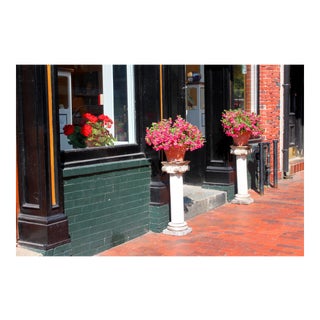 Photograph of Flowers Near a Doorway by Josh Moulton For Sale