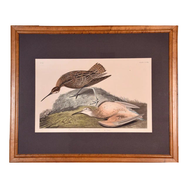 "Esquimaux Curlew": A Framed Original Audubon Hand-Colored Folio Engraving, 1834 For Sale