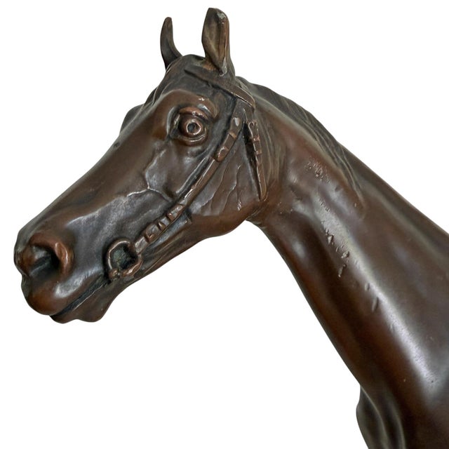 Bronze Bronze Thoroughbred Horse Sculpture For Sale - Image 8 of 18