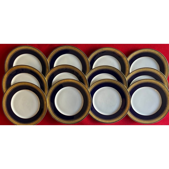 Set 12 German cobalt blue and white porcelain dinner plates with gold trim by Hohenberg Ware Hutschenreuther Bavaria....