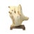 2010s Chinese Cypress Wood Carved Irregular Shape Happy Buddha Statue For Sale - Image 5 of 8