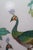 Mid 20th Century Marbro Chinese Famille Rose Porcelain Peacock Vase 2 Light Pull Chain Lamp 31" For Sale - Image 14 of 18