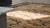 Beige 1890s Tan Beige Medallion Antique Chinese Ningxia Rug 4'4" X 7' Handknotted Wool Carpet For Sale - Image 8 of 10