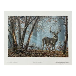 Broken Solitude - Whitetail Deer by Larry Zach Deer in Fall Forest -Signed Print 1992 For Sale