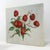 This exquisite vintage needlework piece features a meticulously botanical study of a fruiting branch laden with ripe,...