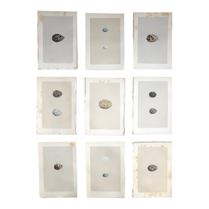 Antique 19th Century Hand Colored Egg Lithographs - Set of 9