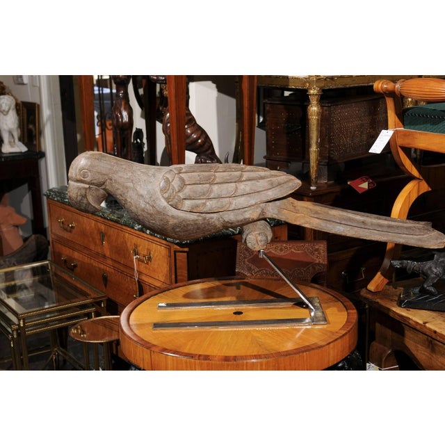 Italian Pair of Italian Carved Wooden Parrots circa 1880, Mounted on Modern Steel Bases For Sale - Image 3 of 11