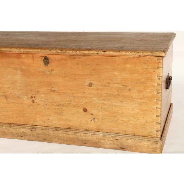 Wood Antique Pine Trunk For Sale - Image 7 of 15