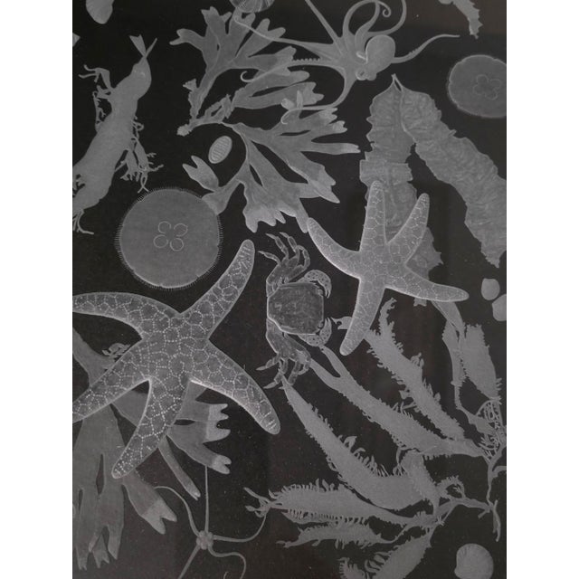 Nautical Hand Engraved Sea Life Glass and Metal Coffee Table For Sale - Image 3 of 15