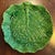 Antique Portuguese Majolica Pottery Green Cabbage or Lettuce Leaf Serving Dish For Sale - Image 4 of 15