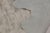 Cream Rug & Kilim’s Large Cowhide Rug in Light Gray and Cream Tones For Sale - Image 8 of 8