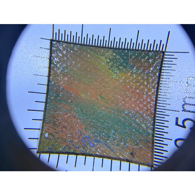 Vintage Original Oil Painting “Willow Wood Arboretum Spring Landscape” Signed James L. Johnson For Sale - Image 10 of 12