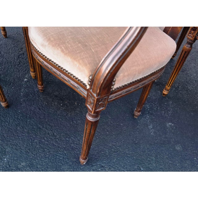 Set of Six W. & J. Sloane Louis XVI Revival Walnut Oval Back Dining Armchairs, Mid-Century For Sale - Image 9 of 17