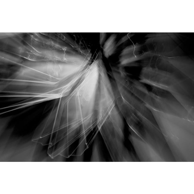 No. 6908 is a limited-edition photographic work by Chris Delmar. The image originates in a constructed optical event...